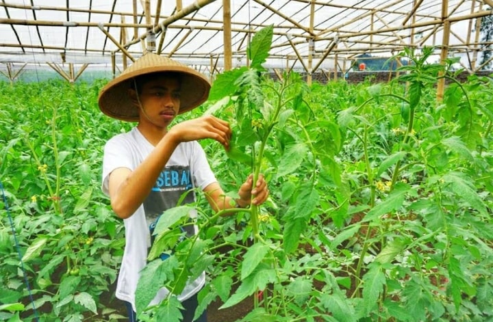 Screenshot_20210501-113241_Google-min