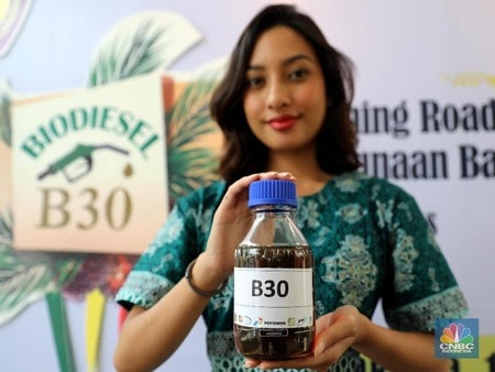 Pertamina Garap Bisnis Biofuel