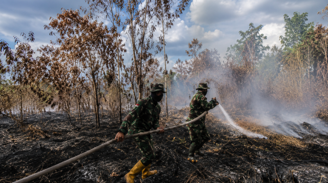 Petugas sedang berusaha memadamkan api di hutan dan lahan yang terbakar (Foto Media Justitia) Petugas sedang berusaha memadamkan api di hutan dan lahan yang terbakar (Foto Media Justitia)