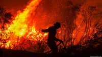 Kondisi kebakaran hutan dan lahan di suatu wilayah (Foto DW)